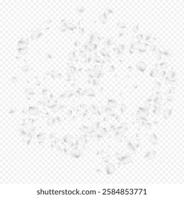 Gray Petal Vector Transparent Background. White Flying Flower Backdrop. Japan Floral Frame. Snowy Lotus Blur Design.