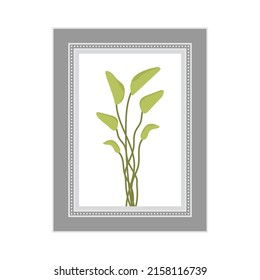 Gray photo frame with the image of a non-flowering plant. Isolated. Flat style. Vector illustration