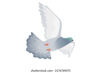 2,518 Dove moving Images, Stock Photos & Vectors | Shutterstock