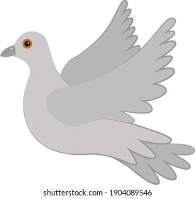 Gray pigeon on a white background. Dove in flight. A symbol of love and devotion, peace, vector.
