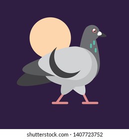 Gray pigeon walking at night in the light of the  moon.  