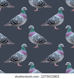 gray pigeons on blue background.  Seamless pattern. Texture for fabric, wrapping, wallpaper. Decorative print.Vector illustration