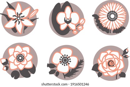 gray and pink flower icons in a circle orchid rose hip lotus gerbera lily rose