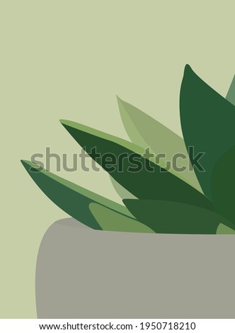 A gray pot with a green plant. Vector flat illustration of a home plant in a vase. Contemporary pattern in vibrant colors. Design for cards, posters, backgrounds, textiles, templates, backgrounds.