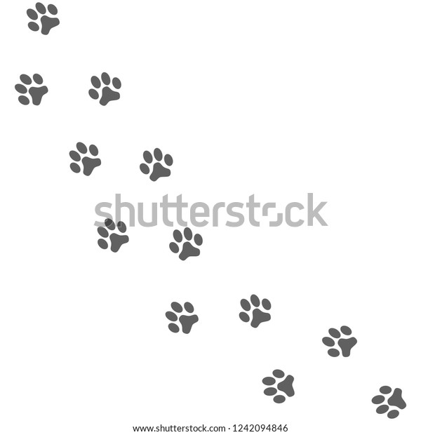 Gray Prints Paws Dog Isolated On Stock Vector (Royalty Free) 1242094846