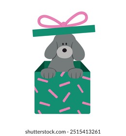 Gray puppy inside a gift box vector illustration