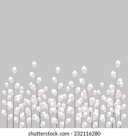 Gray pussy-willow background