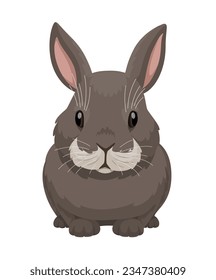 Gray rabbit front view. Vector illustration of a rabbit on a white background.
