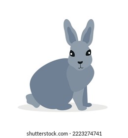 Gray rabbit, hare, forest animal