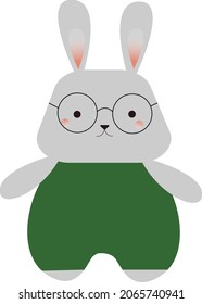 Gray rabbit on green jumpsuit with glasses