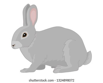 Geometrical Illustration Full Bunny Rabbit Stock Vector (Royalty Free ...