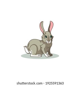 A gray rabbit on a white background.