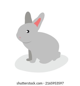 El conejo gris se sienta y mira hacia delante