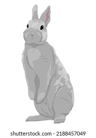 The gray rabbit stands on its hind legs. Realistic vector animal