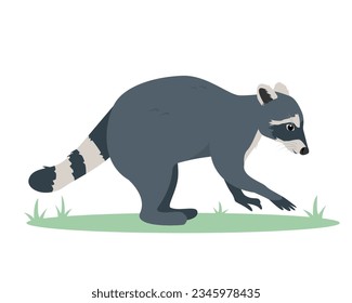Gray Raccoon icon. Animal with striped fluffy tail. Wild mammal forest raccoon. Vector illustration isolated on white background.