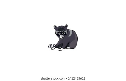 Gray raccoon sitting.
