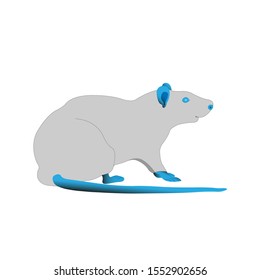 A gray rat with blue eyes and a blue tail on a white background