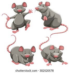 Gray rat in different poses illustration