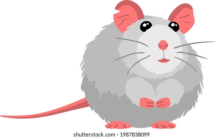 gray rat on its hind legs