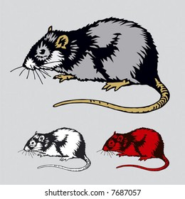 Gray rat. Simple vector.