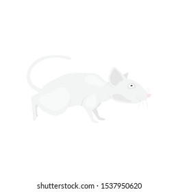 Gray rat symbol of the new year 2020 on a white background. Flat vector illustration EPS10