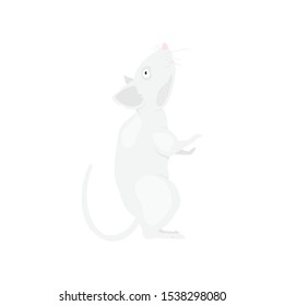 Gray rat symbol of the new year 2020 on a white background. Flat vector illustration EPS10