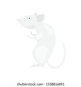 Gray rat symbol of the new year 2020 on a white background. Flat vector illustration EPS10