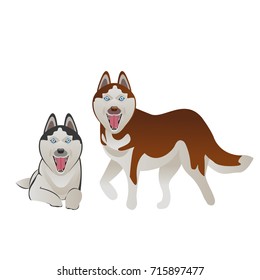 Gray and red dog husky lie and stand. Vector illustration of animals, isolated on white background.