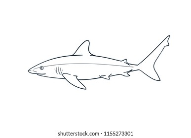 Shark outline image.ai
