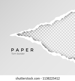Gray ripped open paper with transparent background. Torn paper sheet. Paper texture. Vector illustration