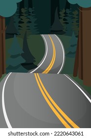 A gray road with two yellow stripes in the middle of a dark green forest with fir trees