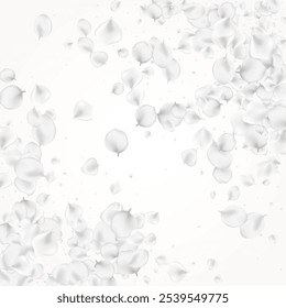 Gray Rose Vector Light Background. White Beauty Blossom Backdrop. Summer Floral Banner. Delicate Peach Blur Wallpaper.