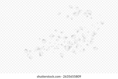 Arrière-Plan Gris Transparent D'Image vectorielle Sakura. Arrière-Plan Lotus Automne Neigeux. Poster de fleurs volantes. Délicate Template Flou Pétale.