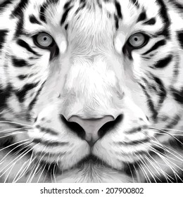 Gray scale closeup portrait of a white bengal tiger. Oil painting style. The biggest cat. Wild beauty of the most dangerous and mighty beast. Vector illustration
