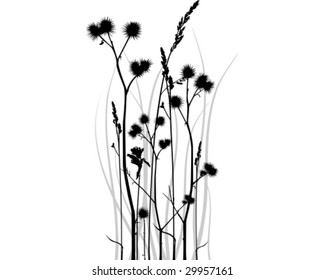 Gray scale vector silhouette of grass blades with bur.