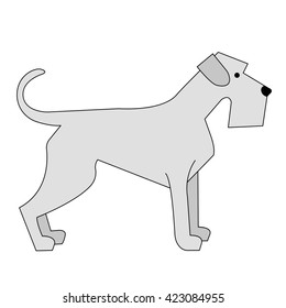 Gray schnauzer. Vector. Cute medium size dog. Animal themes. Dog. Man's best friend. Pet.