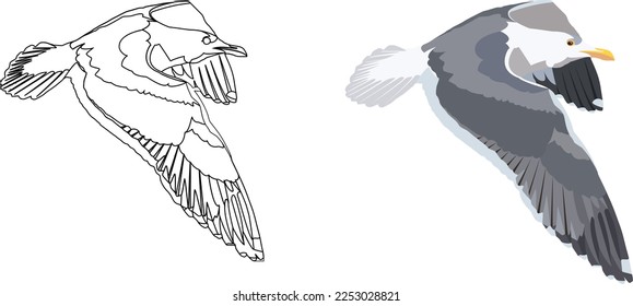gray seagull bird in flight-