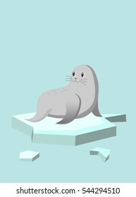 Gray seal on ice floor.