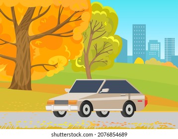 Gray sedan car with tinted glass vector illustration. Transport, modern passenger vehicle drives on asphalt road. Automobile on background of autumn forest landscape. Car driving through city park