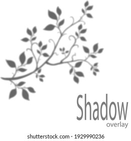 Gray shadow from a tree branch with leaves on a white background. Vector illustration.