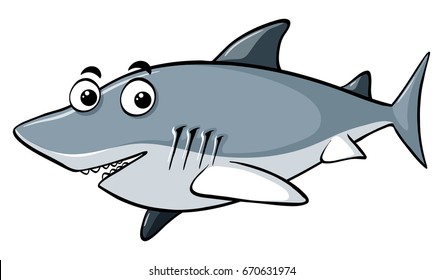 Gray shark on white background illustration