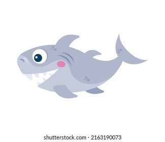 gray shark sealife creature character