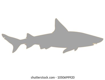 Gray shark silhouette