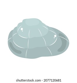 gray shell sea icon white background