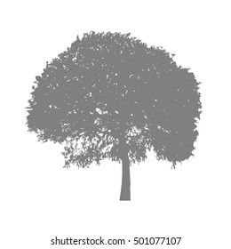 Gray silhouette tree willow with leaves on a white background.  Vector Illustration.