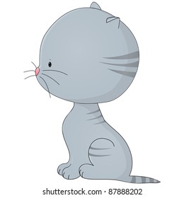 gray sitting kitten  isolated on white background