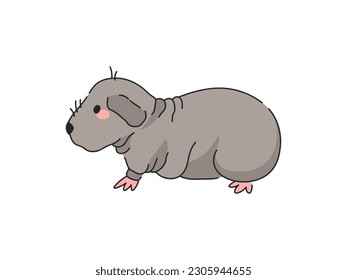 Gray Skinny Pig Cartoon Vector Illustration. Isolated icon on white background.