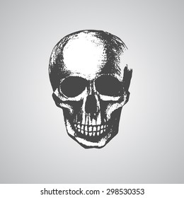 Gray Skull Stock Vector (Royalty Free) 298530353 | Shutterstock