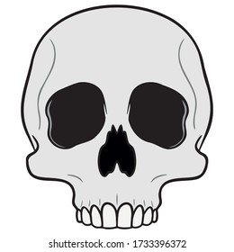 gray skull without jaws  white background  isolated  cartoon  vector drawing 