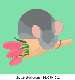 gray sleepy chinchilla and pink flowers bouqet